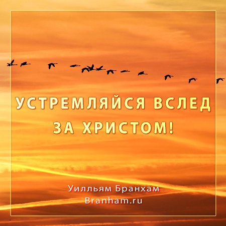 Картинка цитаты