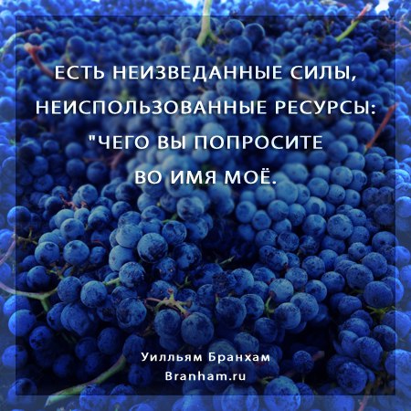 Картинка цитаты