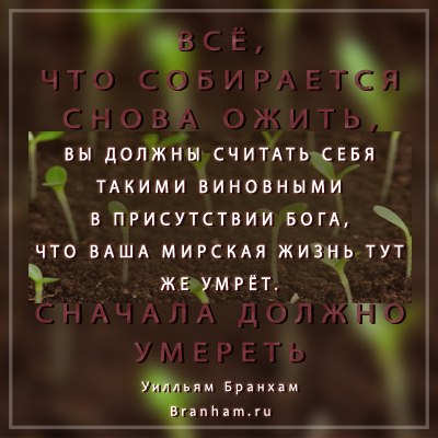 Картинка цитаты