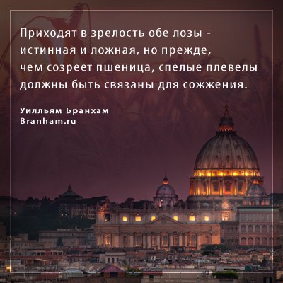 Картинка цитаты