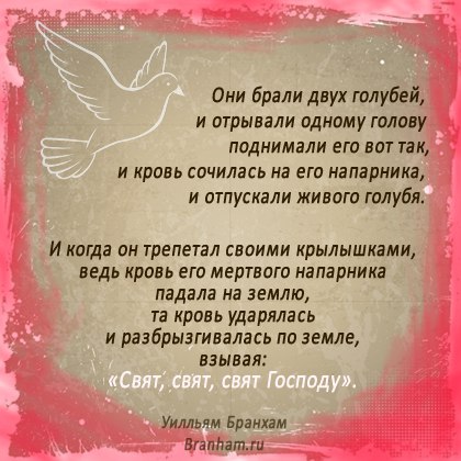 Картинка цитаты