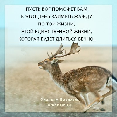 Картинка цитаты