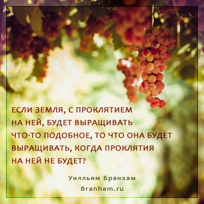 Картинка цитаты