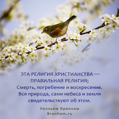 Картинка цитаты