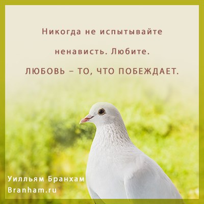 Картинка цитаты