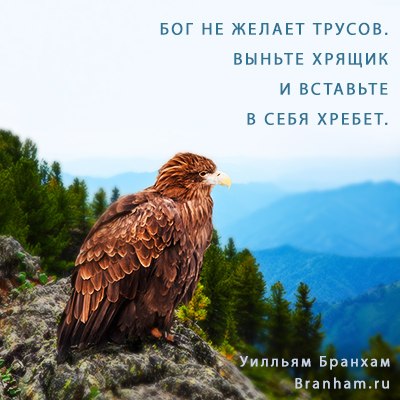 Картинка цитаты