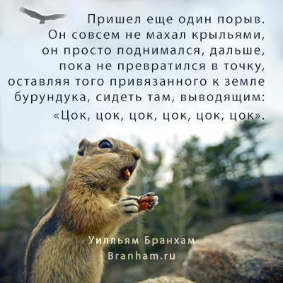 Картинка цитаты