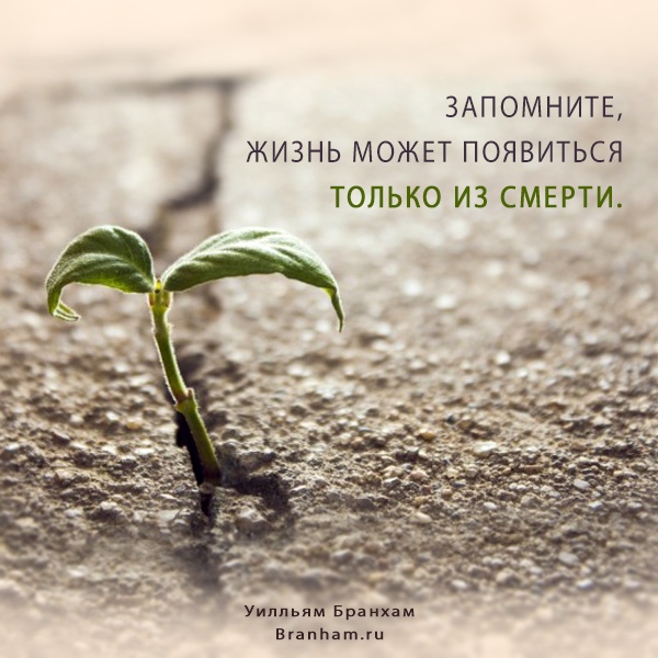 Картинка цитаты