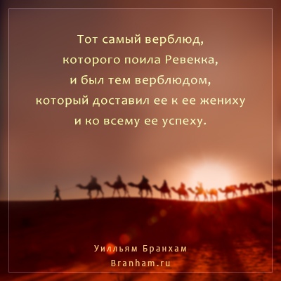 Картинка цитаты