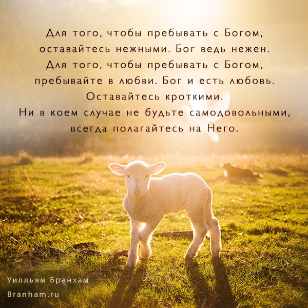 Картинка цитаты