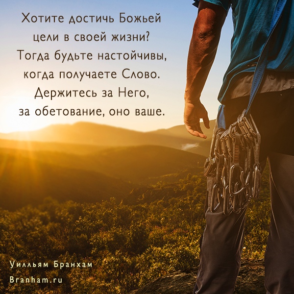 Картинка цитаты