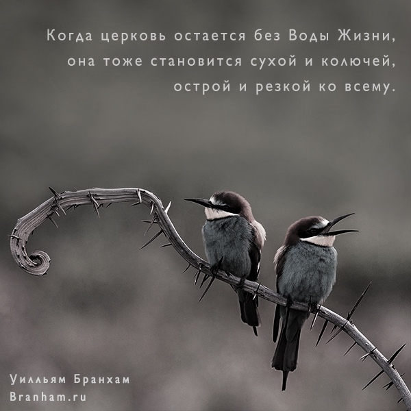 Картинка цитаты