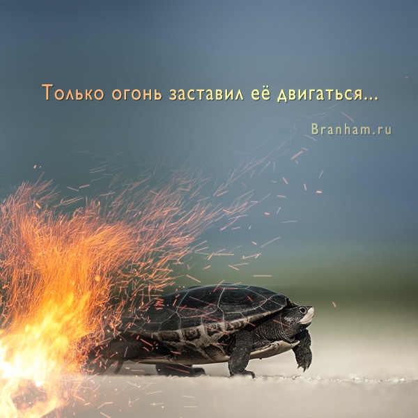 Картинка цитаты