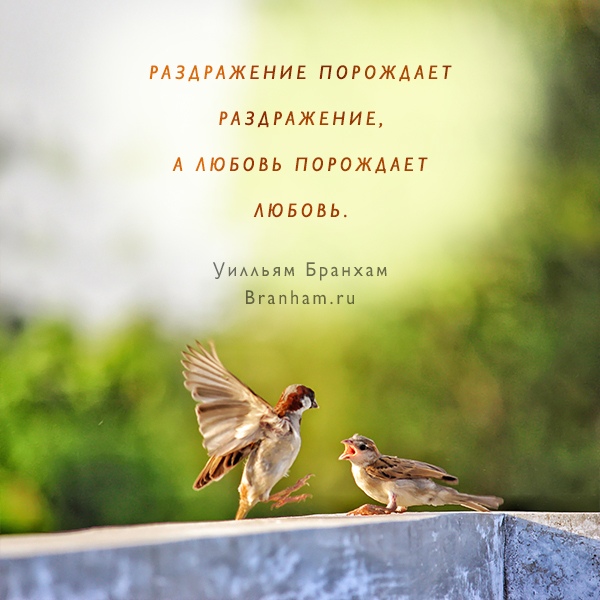 Картинка цитаты