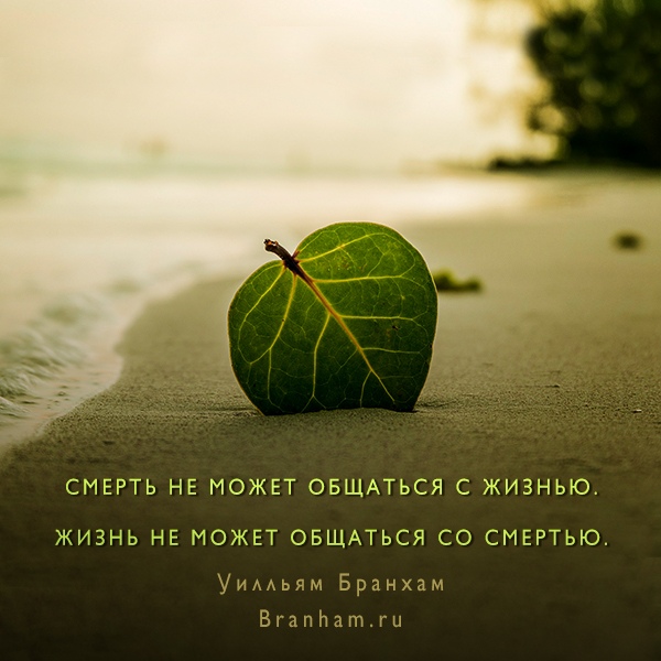 Картинка цитаты