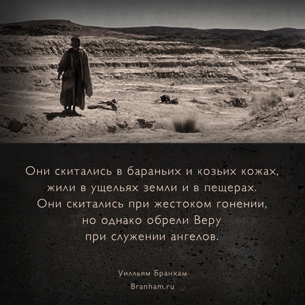 Картинка цитаты