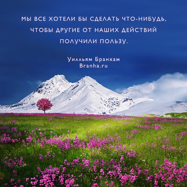 Картинка цитаты