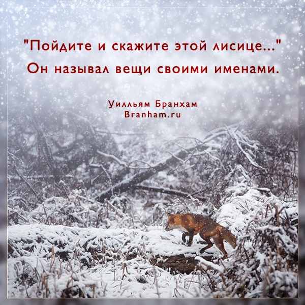 Картинка цитаты