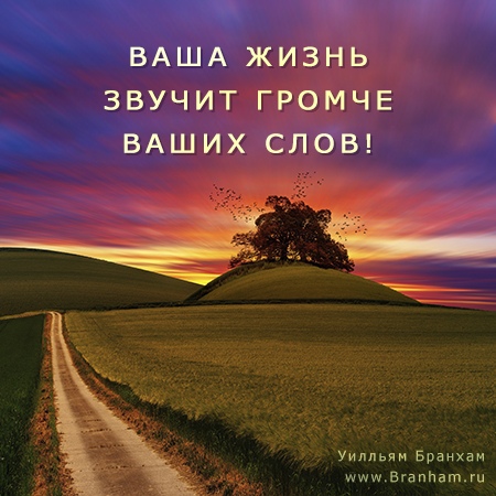 Картинка цитаты