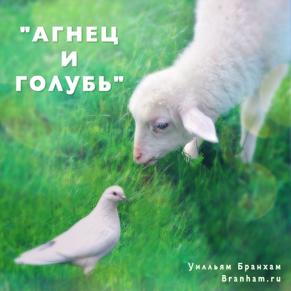 Картинка цитаты