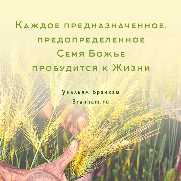 Картинка цитаты