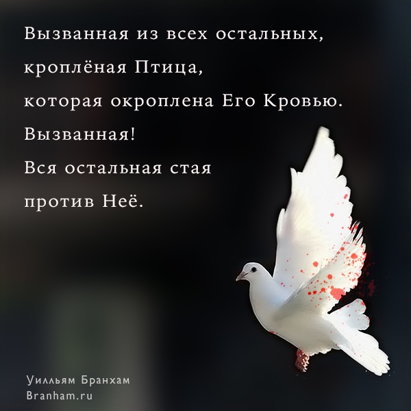 Картинка цитаты