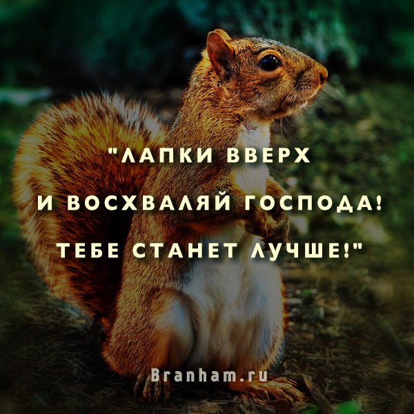 Картинка цитаты