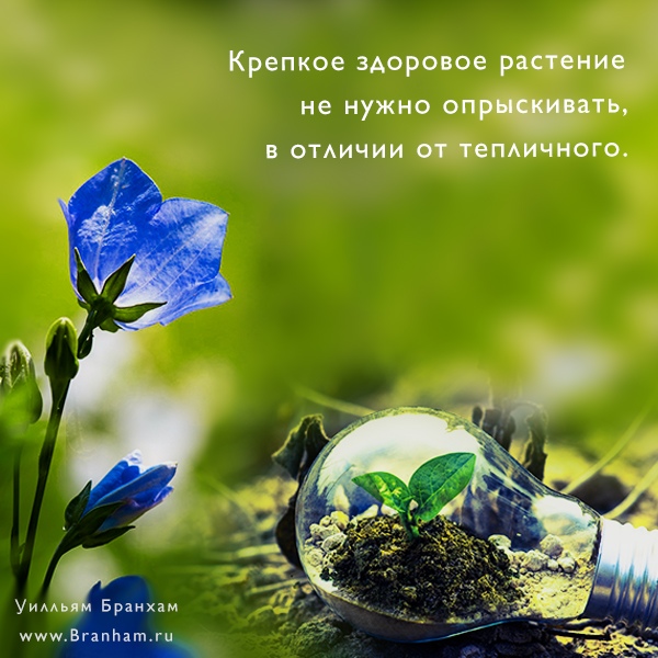 Картинка цитаты