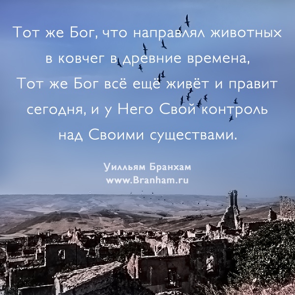 Картинка цитаты