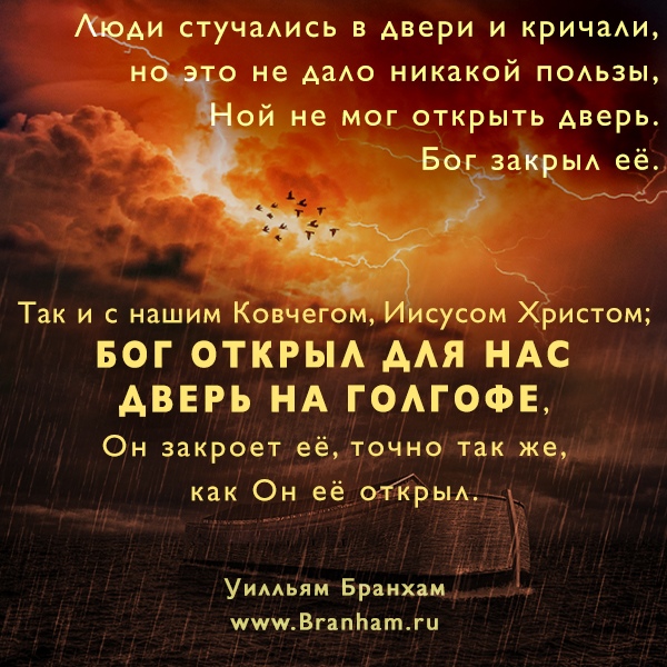 Картинка цитаты