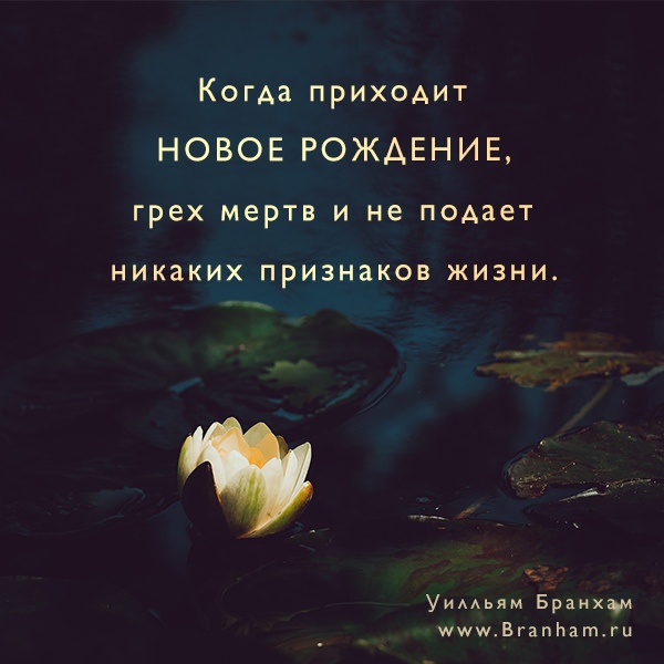 Картинка цитаты