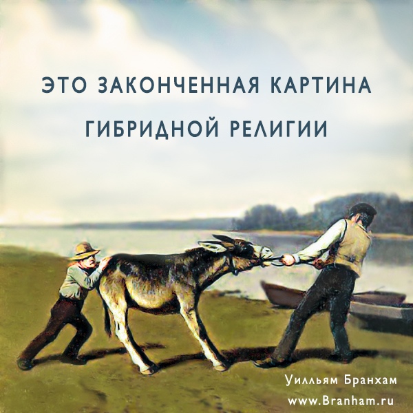 Картинка цитаты