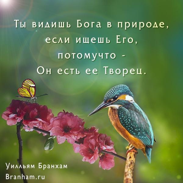 Картинка цитаты