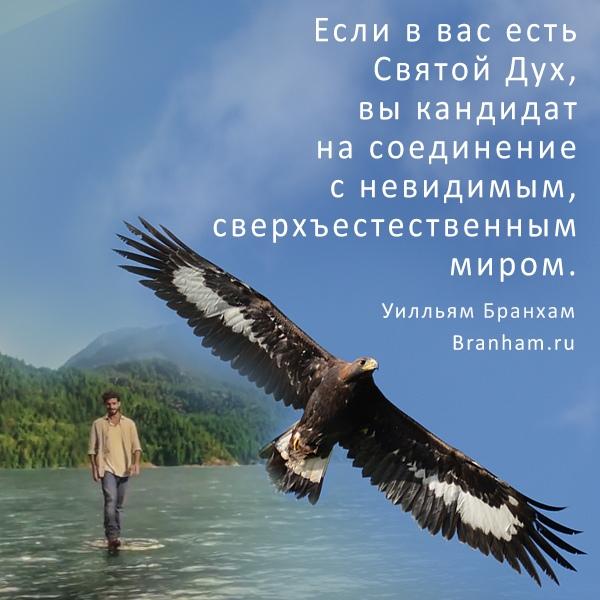 Картинка цитаты