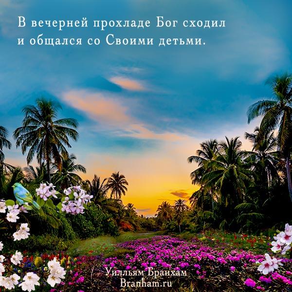 Картинка цитаты