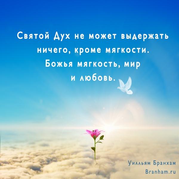 Картинка цитаты