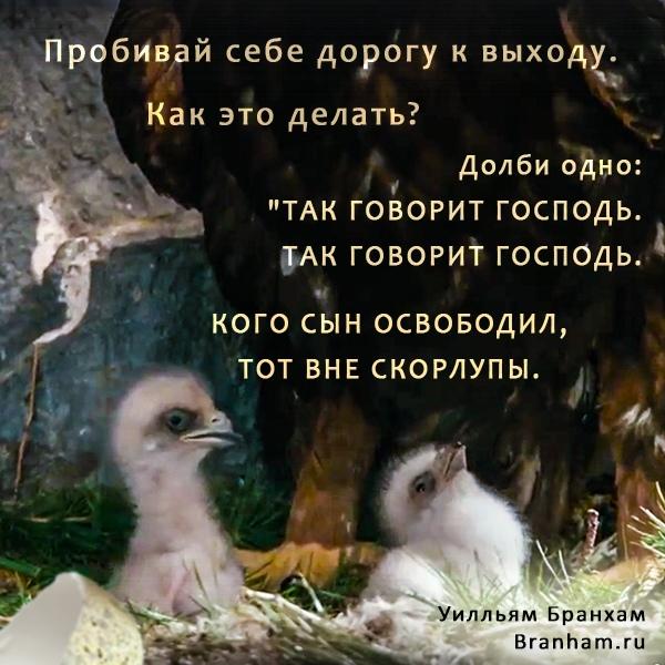 Картинка цитаты