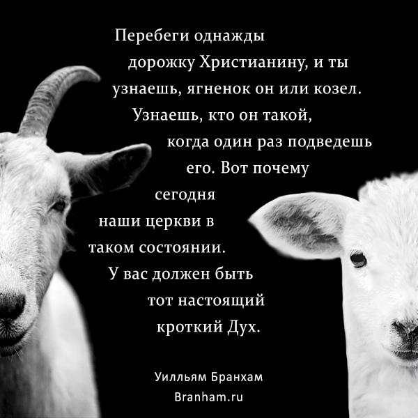 Картинка цитаты