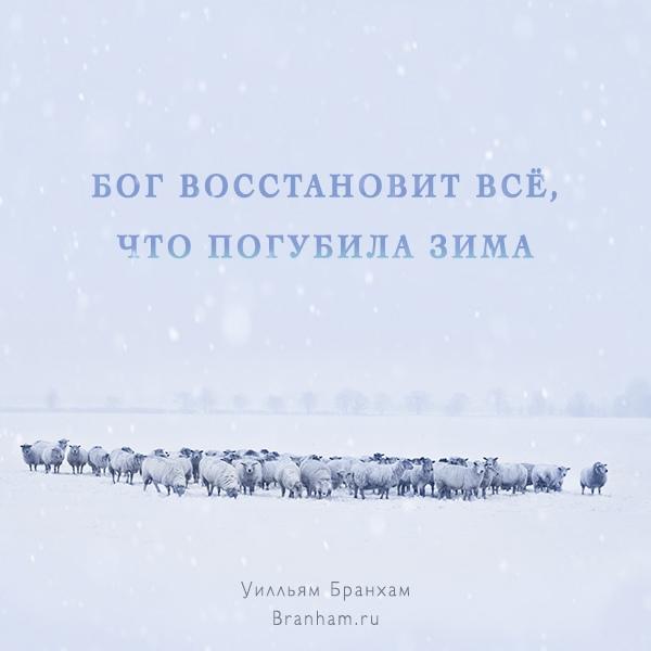 Картинка цитаты