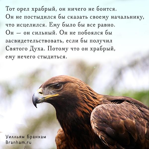 Картинка цитаты