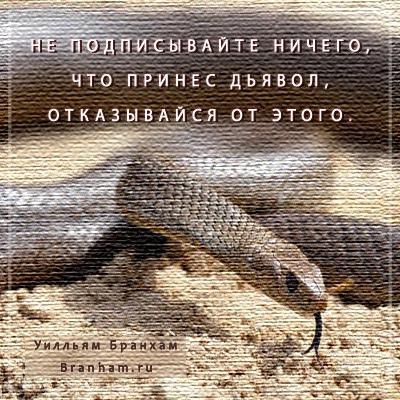 Картинка цитаты