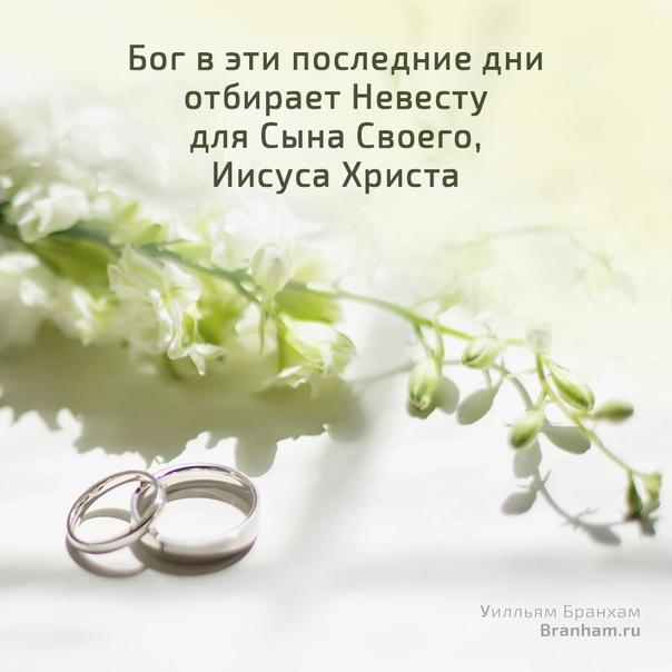 Картинка цитаты