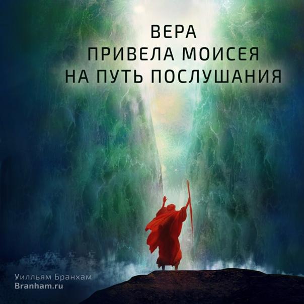 Картинка цитаты