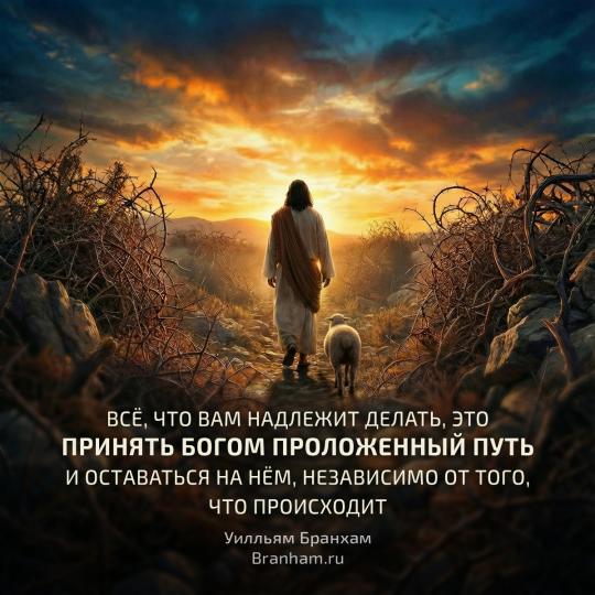 Картинка цитаты