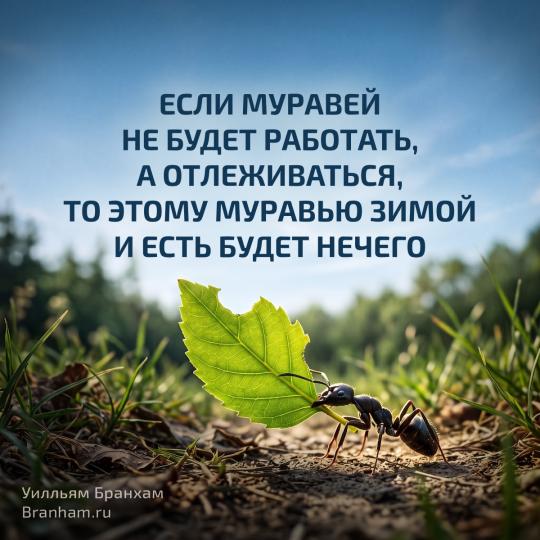 Картинка цитаты